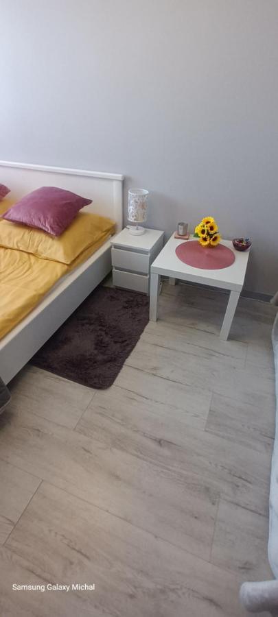 Appartement Przy Amfiteatrze à Kętrzyn Extérieur photo